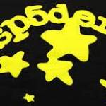 sp5der hoodei
