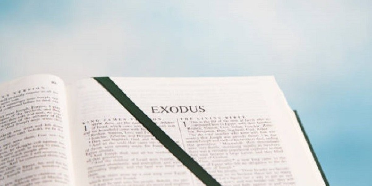 What Are the Key Miracles in the Book of Exodus?