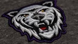 Russian escorts in delhi