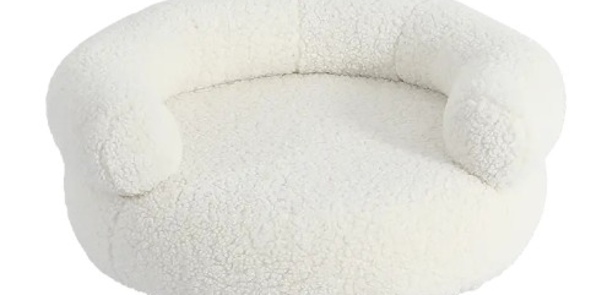 Territory Peace Treaty: The Sofa Bed Solution for Multi-Pet Homes