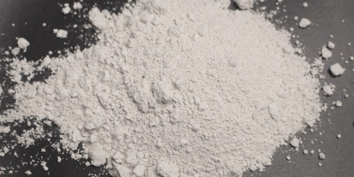 Why Diatomaceous Earth Is a Must-Have for Every Household