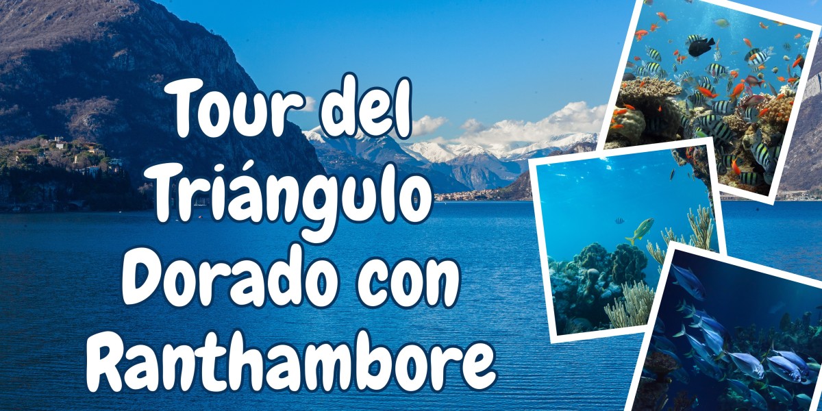 Tour del Triángulo Dorado con Ranthambore