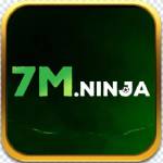 7M ninja