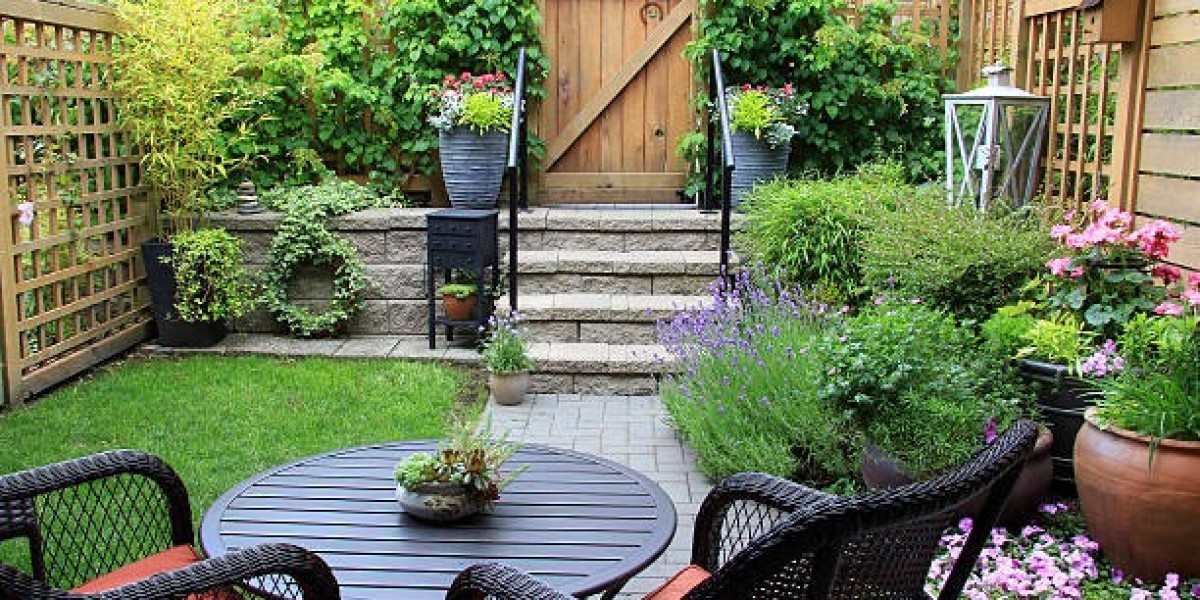 Tomato Growing Guide – From Seeds to Juicy Harvest