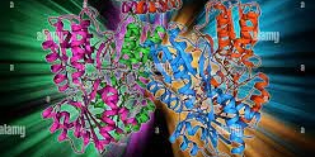 Lactase Market opportunities in animal feed, probiotic formulations, and functional nutrition products worldwide