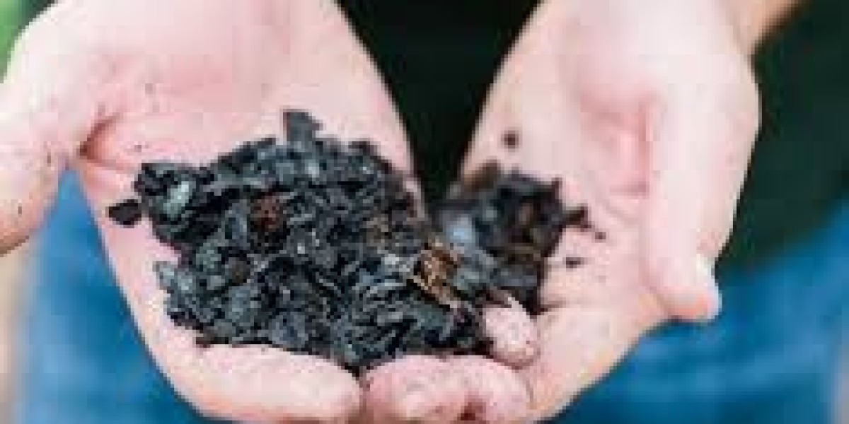 Biochar Market insights on government policies, subsidies, and initiatives driving adoption worldwide