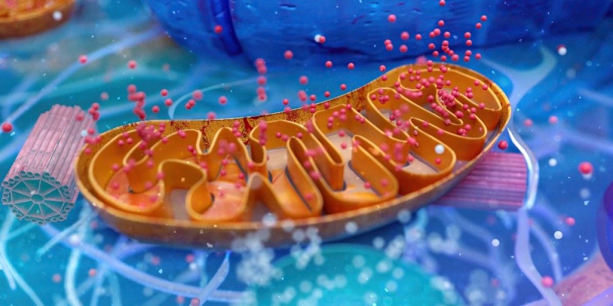 Global Outlook on the Pheochromocytomas and Paragangliomas Market