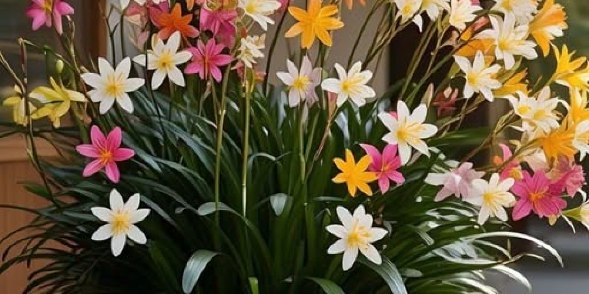 Penguins Simply just Werent Great More than enough inside Philadelphia