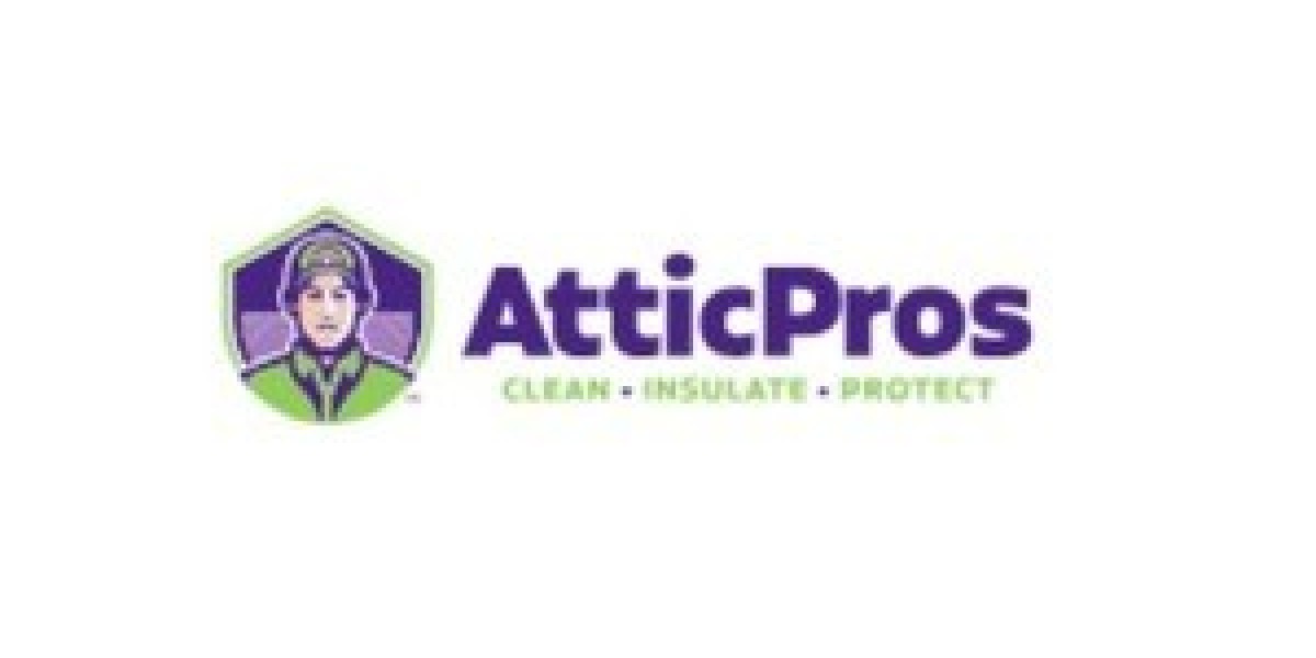 The Complete Guide to Keeping Your Home Safe with Professional Attic Rodent Solutions