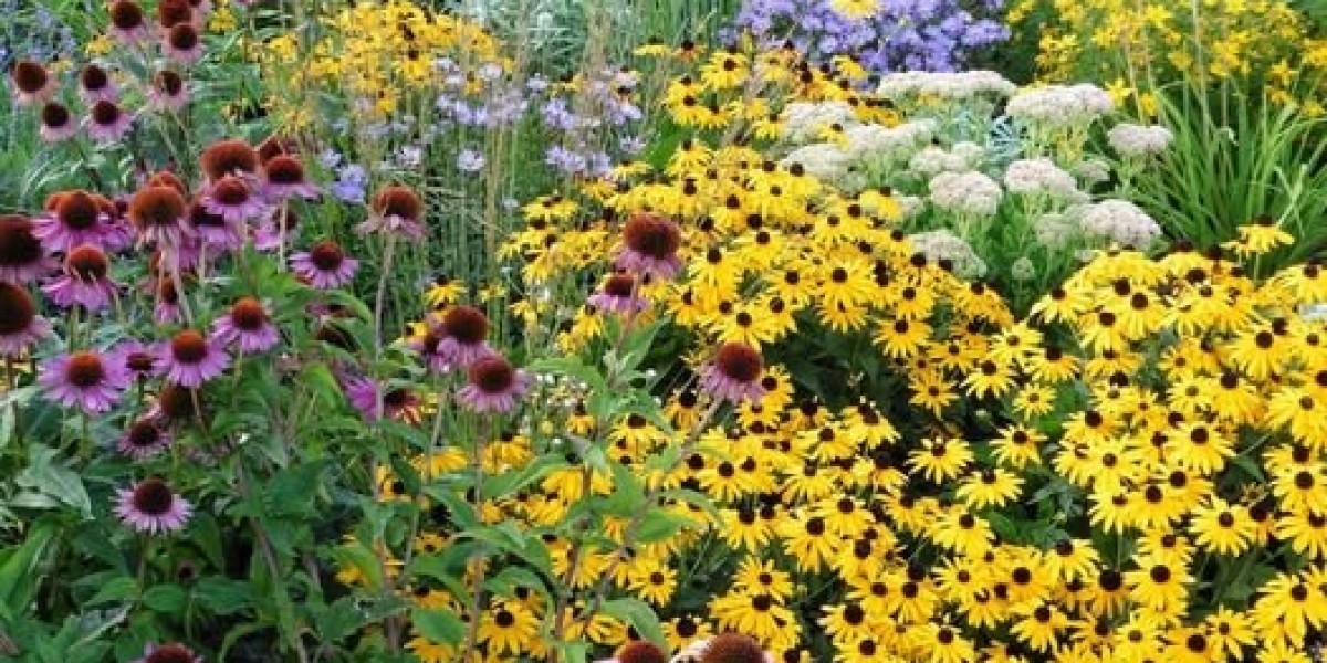 Earl Thomas admits he punched a Ravens teammate inside train; suggests he improved than Ed Reed