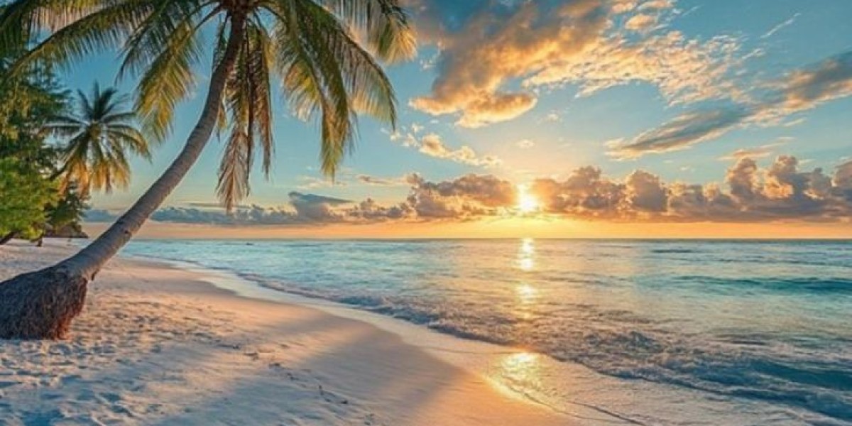 Get Insider Access to Hidden Cheap Business Class Flight Deals Online