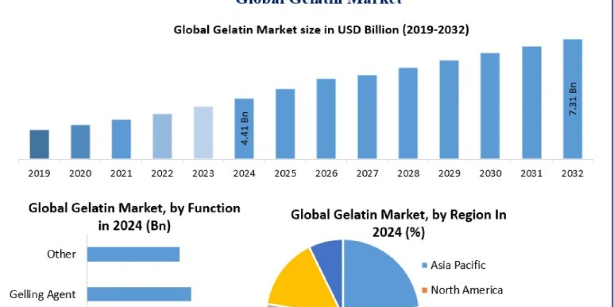 Gelatin Market Forecast: Future Growth Prospects and Market Developments