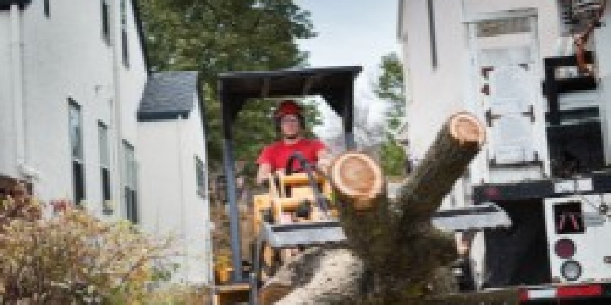 Construction Debris Removal Service | Fast & Reliable Cleanup