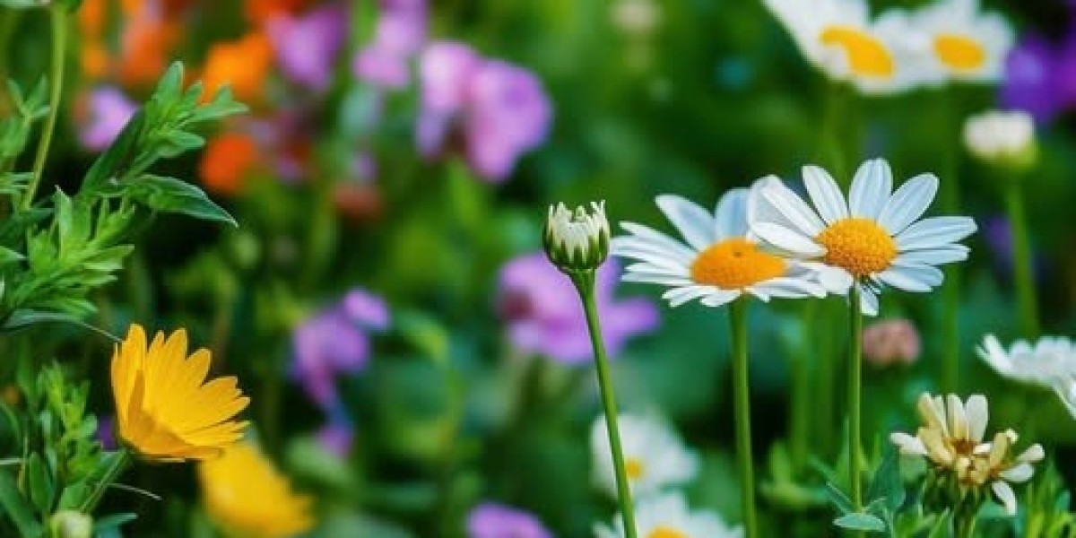 Schneider, retired NHL goalie, to sign up with NHL Network on-air schedule