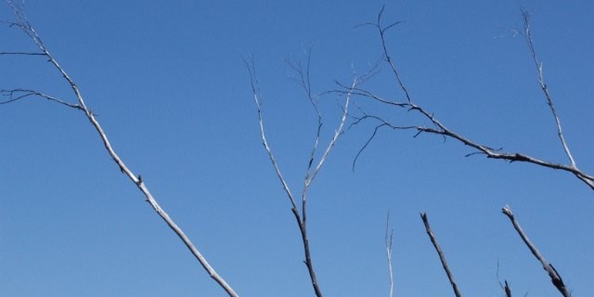 Sito ufficiale del casinò online