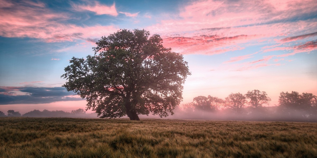 Telaga88 Customer Support Review