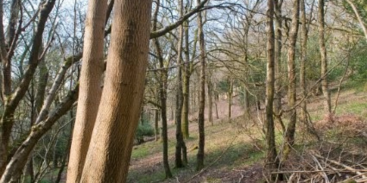 The Star Hotel and Casino