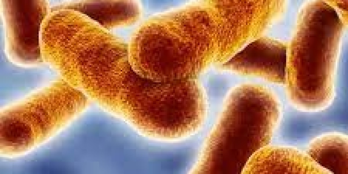 Bacillus Coagulans Market forecast emphasizing the role of public health awareness in driving product adoption globally