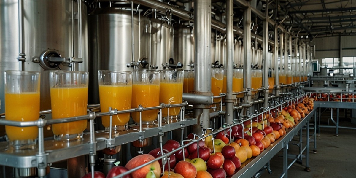 Fruit Juice Processing Unit Setup: Investor-Optimized Project Structure