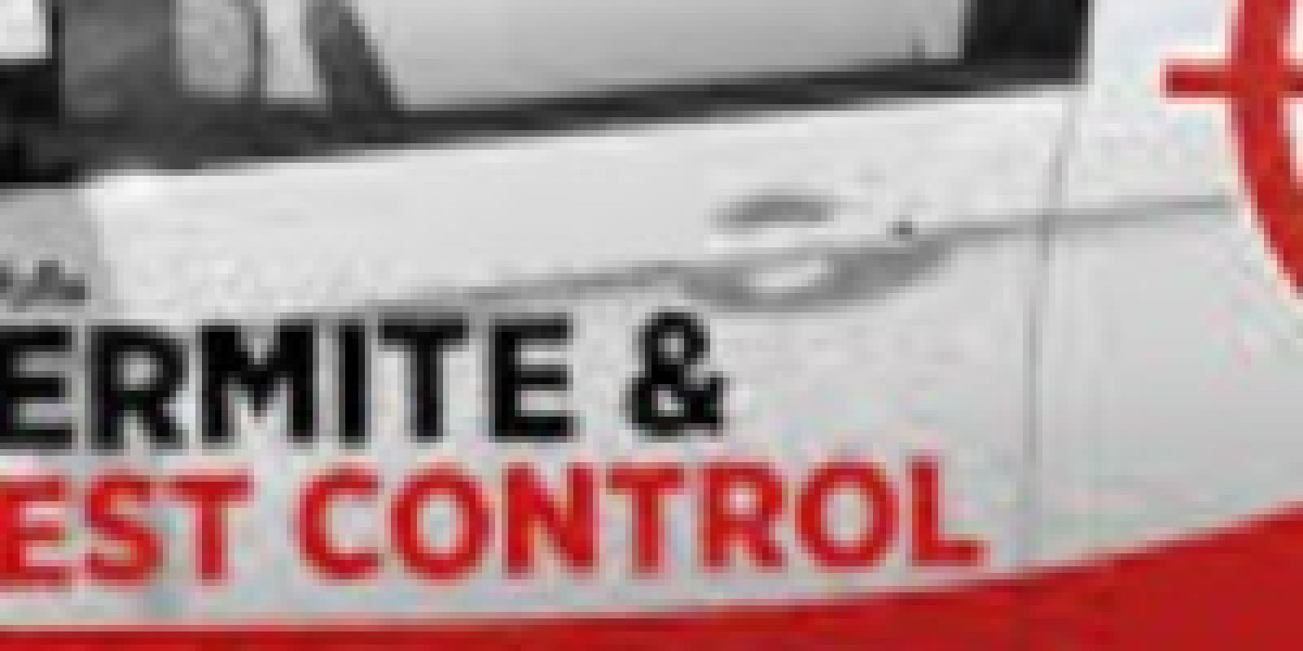 Pest Control Pharr: Protecting Homes and Businesses with Trusted Local Experts