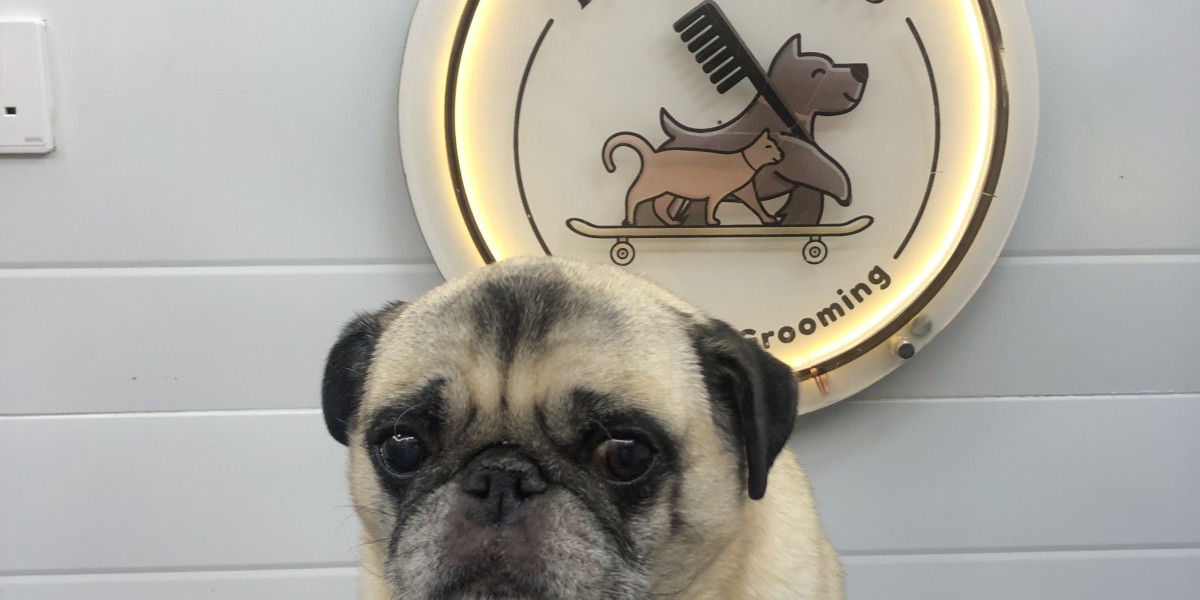 A Cleaner, Happier Pet Without Leaving Home: Mobile Grooming Explained