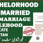 Unmarried Certificate Fees in Pakistan