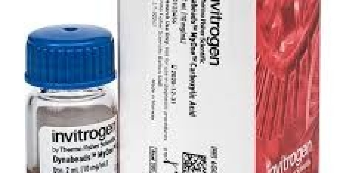 Unlocking the Potential of Neurobasal Plus: A Comprehensive Guide to Advanced Neural Support