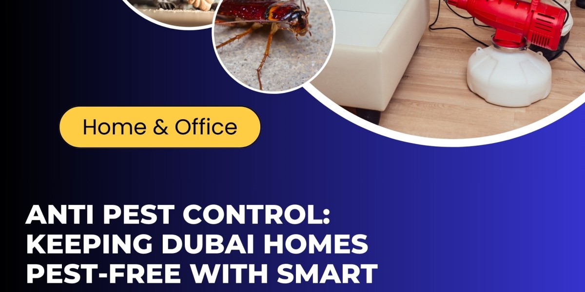 Anti Pest Control: Keeping Dubai Homes Pest-Free with Smart Solutions