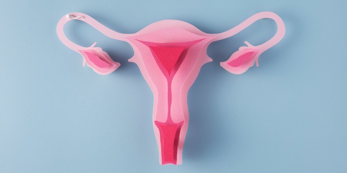 Transforming Ovarian Cancer Care: Market Developments, Diagnostics, and Therapeutics