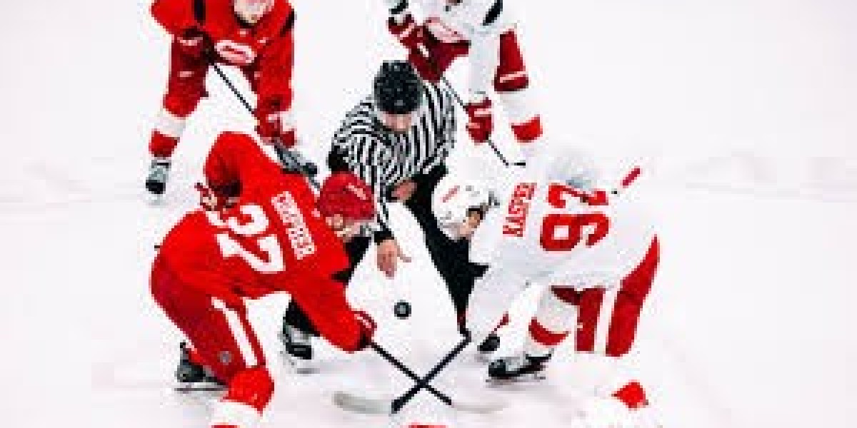 Pink Wings program towards retain the services of NHLs holiday vacation split as a reset when currently being near out a