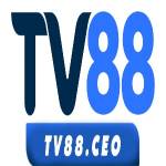 Tv88 ceo