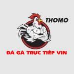 ĐÁ GÀ TRỰC TIẾP
