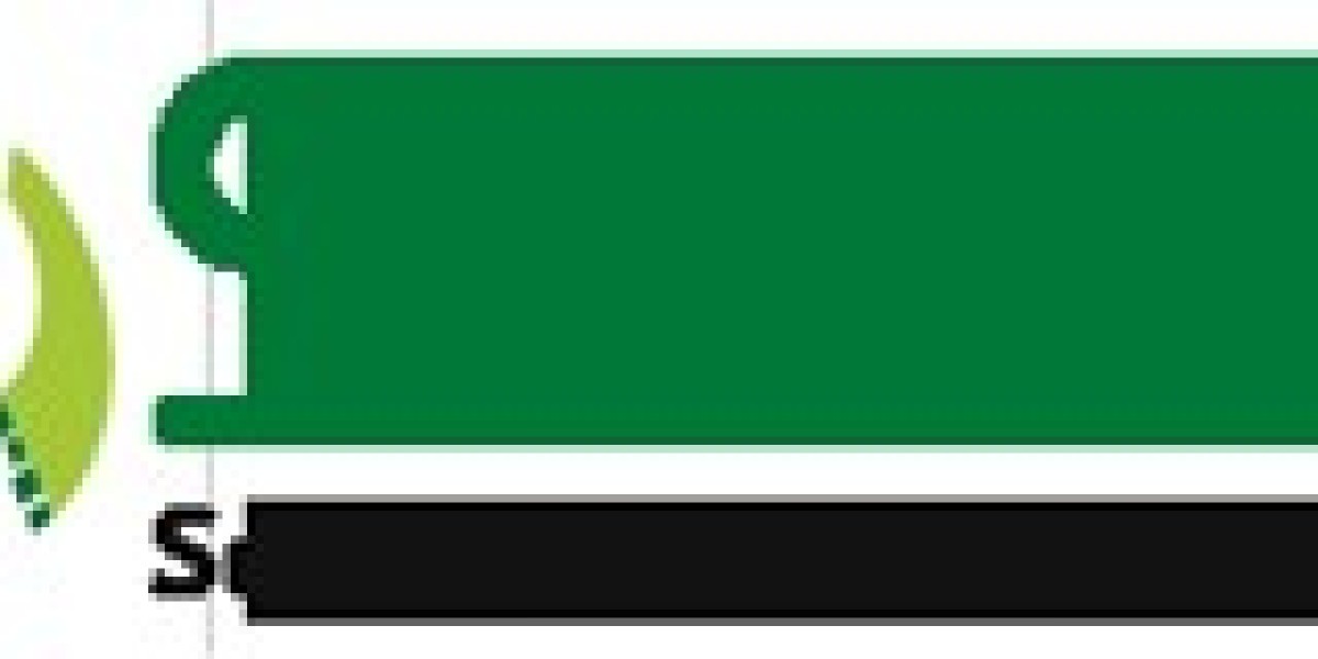 Why Every City Needs Reliable Waste Management Services to Thrive