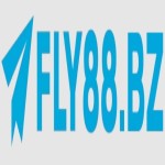 Fly88 bz