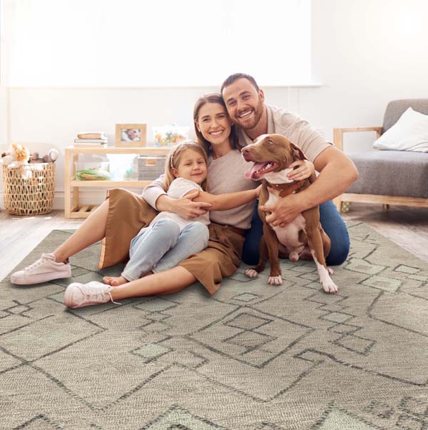 Buy Viscose Rugs in USA | 8x10 Viscose Area Rugs | Amer Rugs