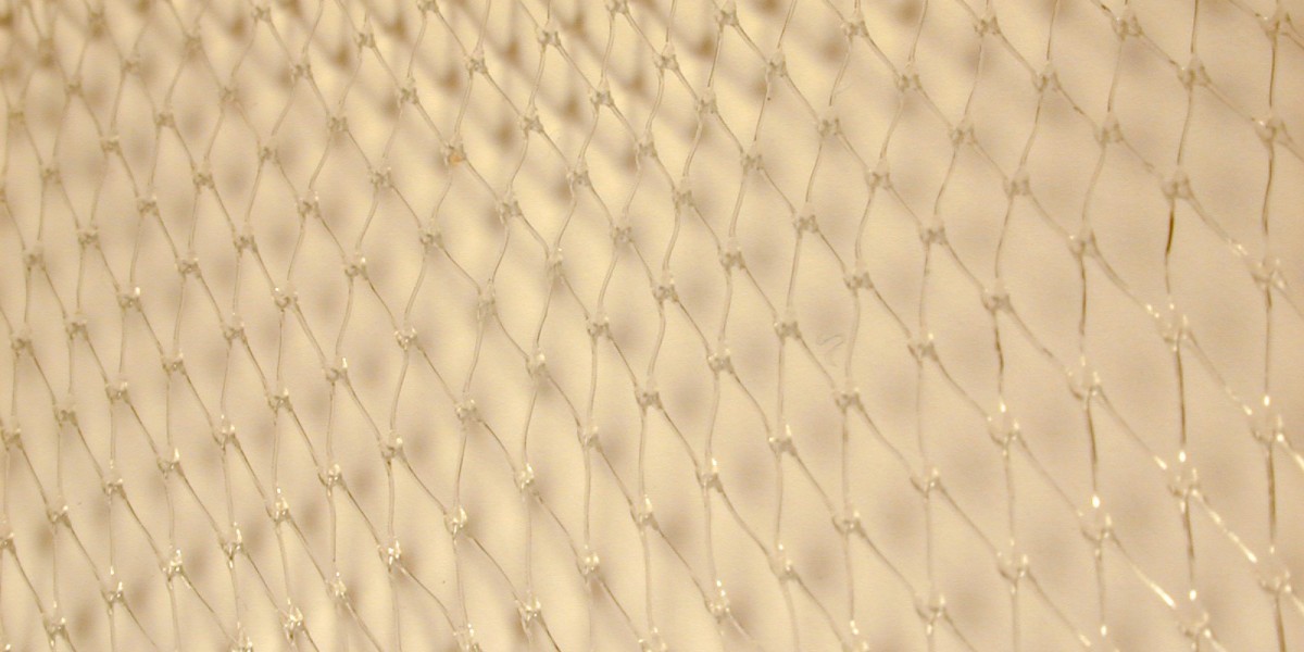 SGR ASX: Star warns of urgent cash crunch, liquidity pain