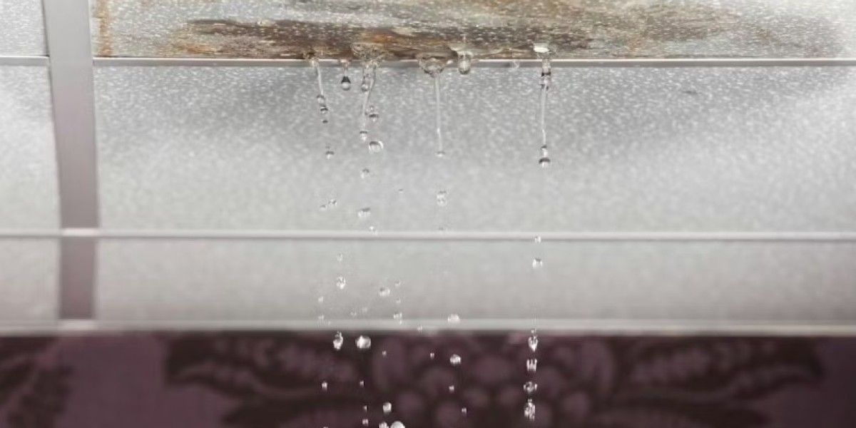 Top Signs You Need Emergency Roof Leak Repair in Newcastle Right Now