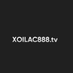 Xoilacbongda Live