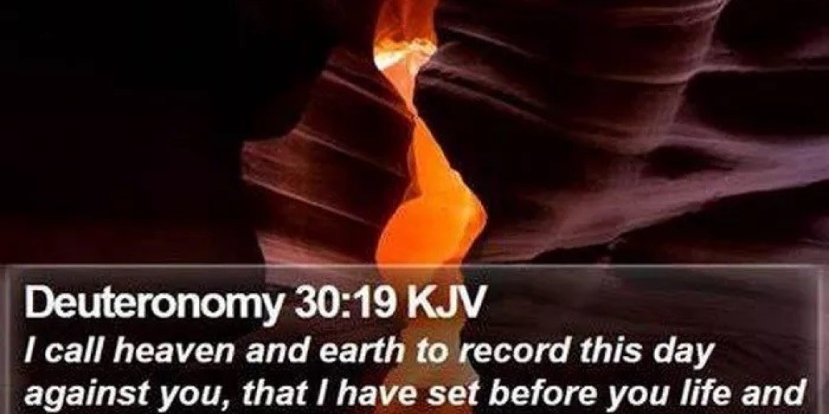 What Does Deuteronomy 30:19 Mean?