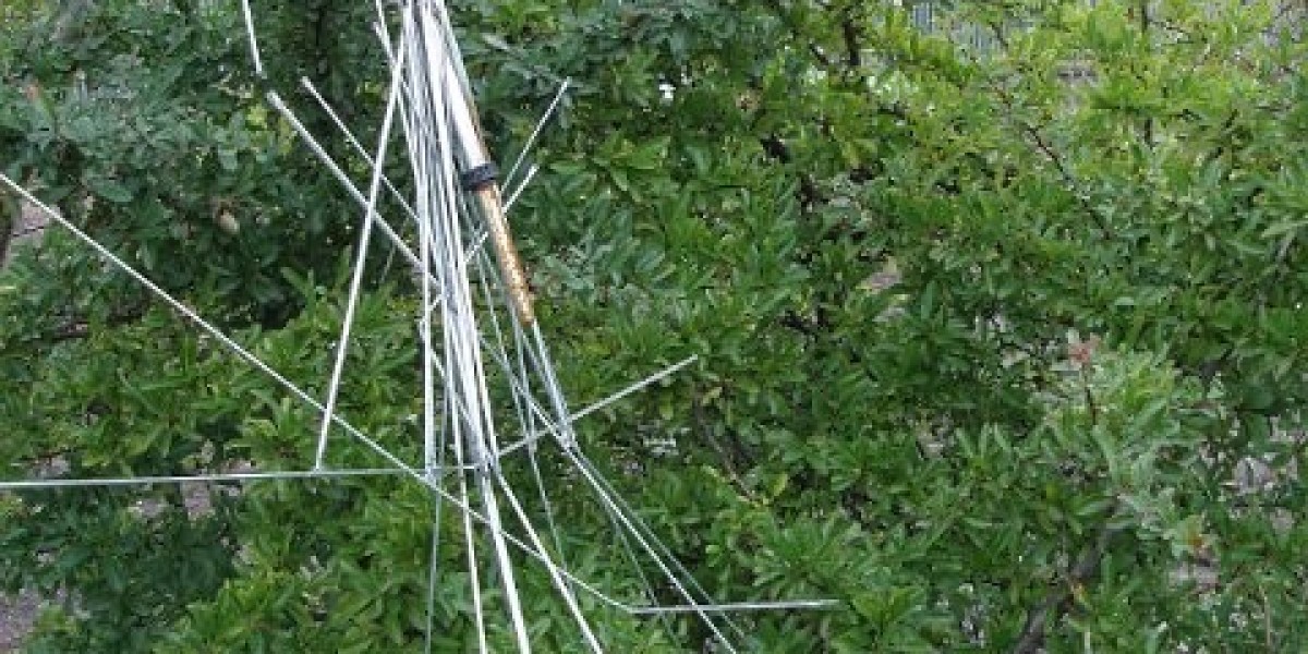 LuckyGreen Casino ? Official site of the gaming club LuckyGreen India ️ Find your favorite game and win real money Sign 