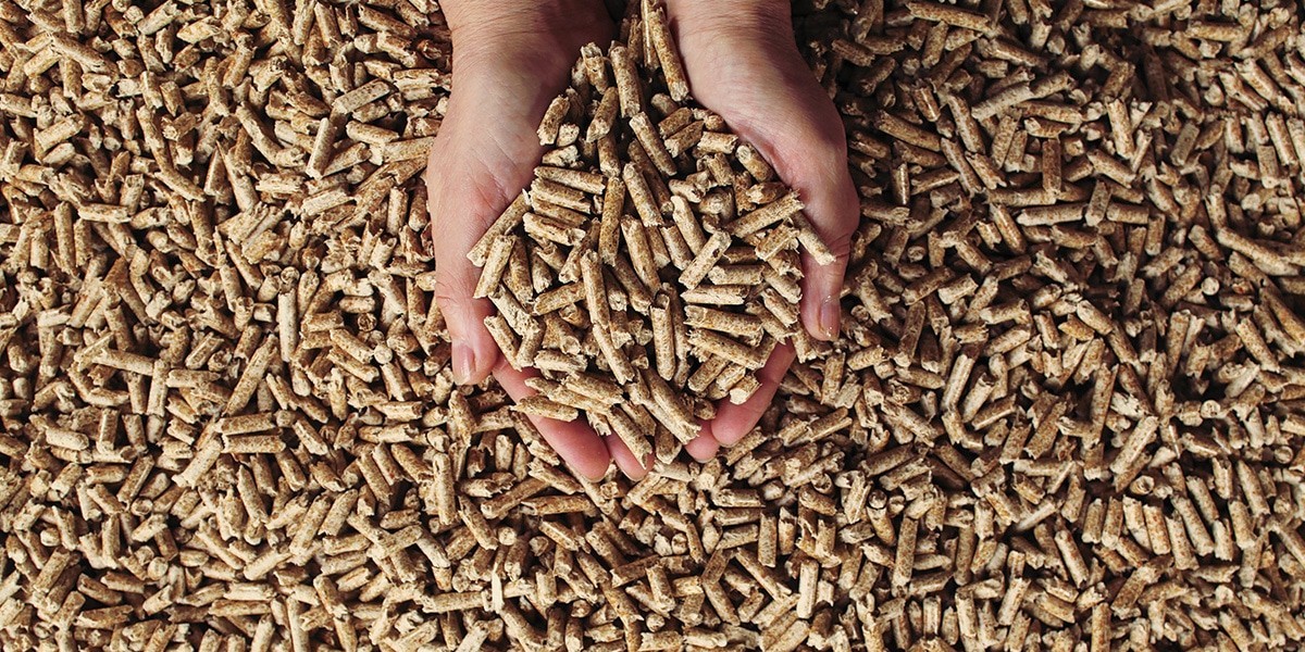wood pellets