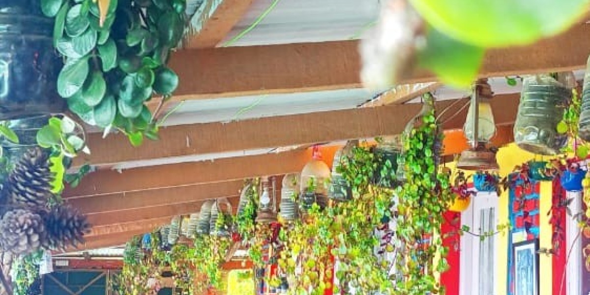 Experience Bliss: Mountain Valley View Rooms in Kodaikanal and the Best Luxury Villas for a Memorable Stay