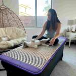 Elite Dynamics Fitness