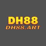 DH88 art