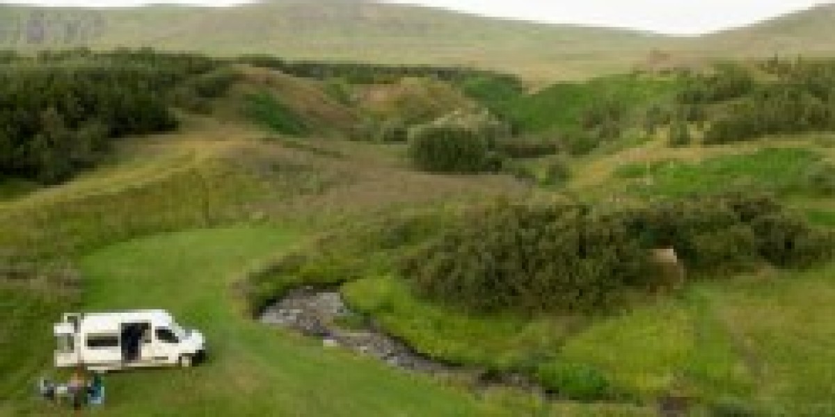 The Ultimate Guide to RV Camping in Steinhatchee, FL: Explore the Best RV Parks and Coastal Adventures