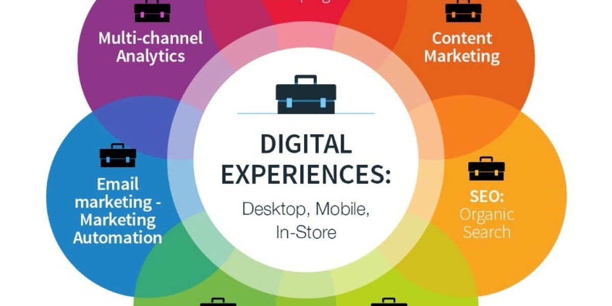 What Makes a Digital Marketing Training Institute in Noida Stand Out in 2025