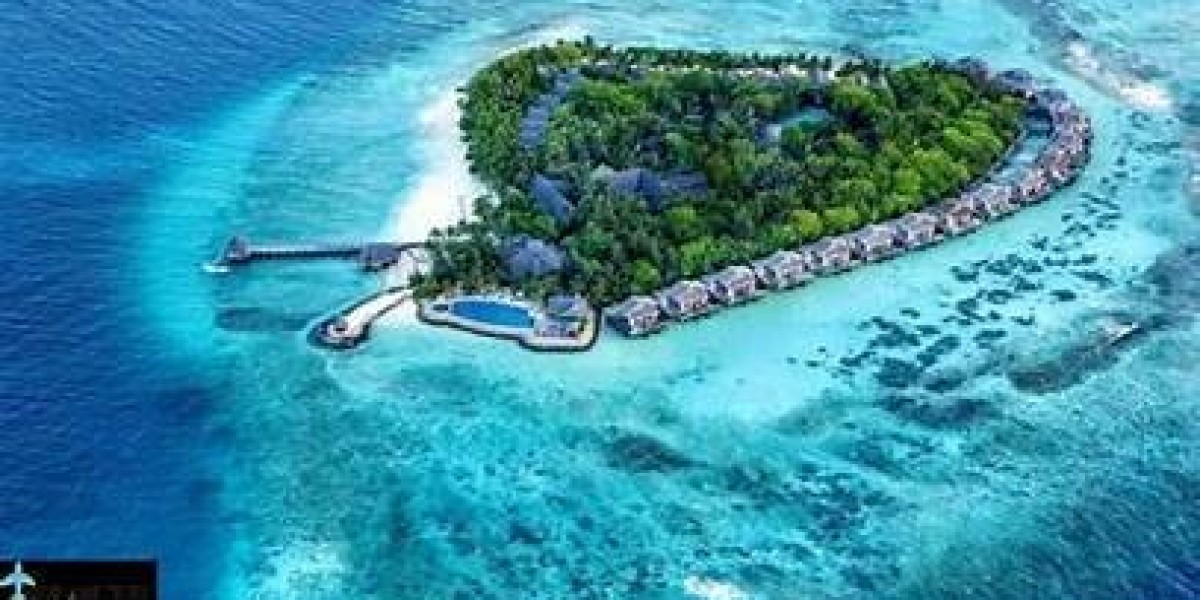 الغوص بين الشعاب المرجانية الملونة والأسماك الاستوائية