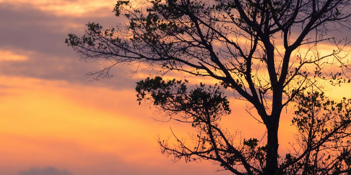 What’s the best gear to duplicate with the Mirror of Kalandra