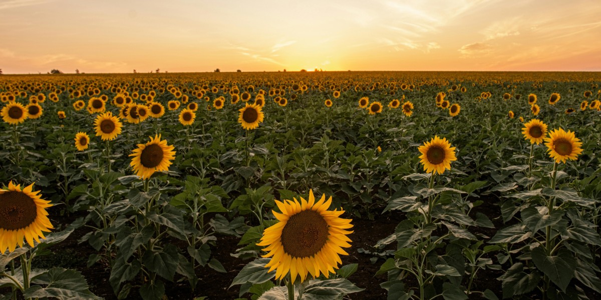 How to maximize the value of Armourer's Scrap without raising crafting costs.