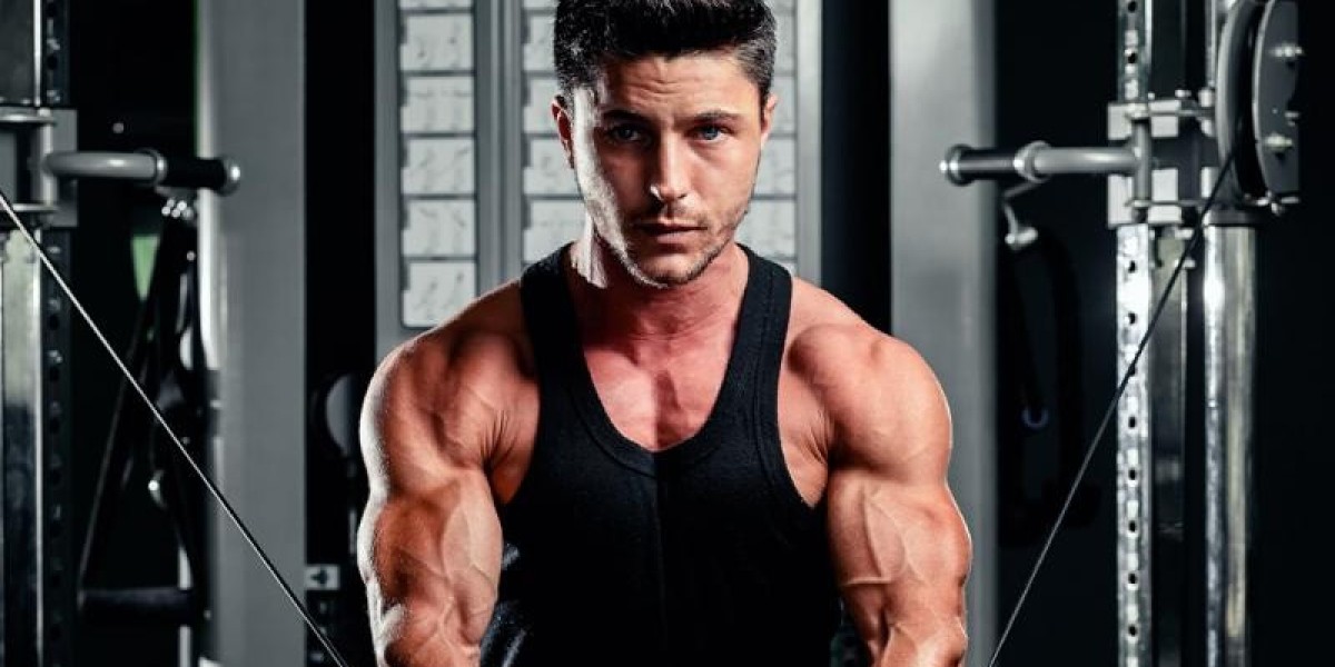 Muscle Building Software: The Smart Way to Train, Track, and Transform Your Body